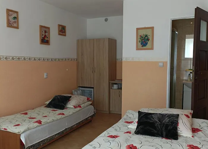 فندق مبيت وإفطار Andrzejowka
